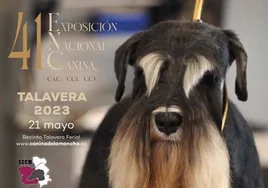 Un total de 600 perros se darán cita este fin de semana en Talavera Ferial durante 'Ebora Dog Show'