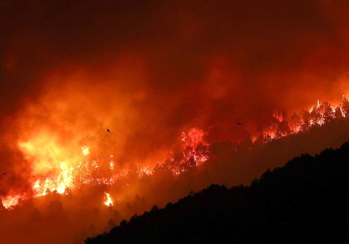 Incendio en Pinofranqueado (Cáceres)