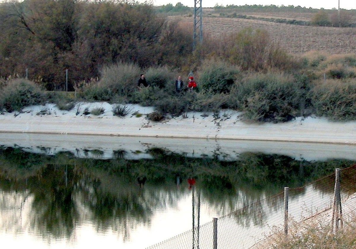 Una balsa de riego