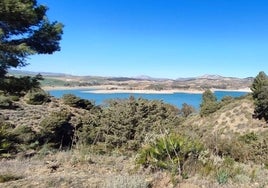 Rescatan a dos mujeres jóvenes que se lanzaron a un pantano de Málaga para huir de unos hombres que las agredían