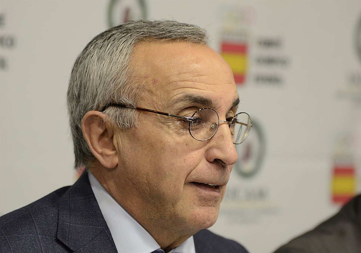 El presidente del Comité Olímpico Español (COE), Alejandro Blanco, en una imagen de archivo