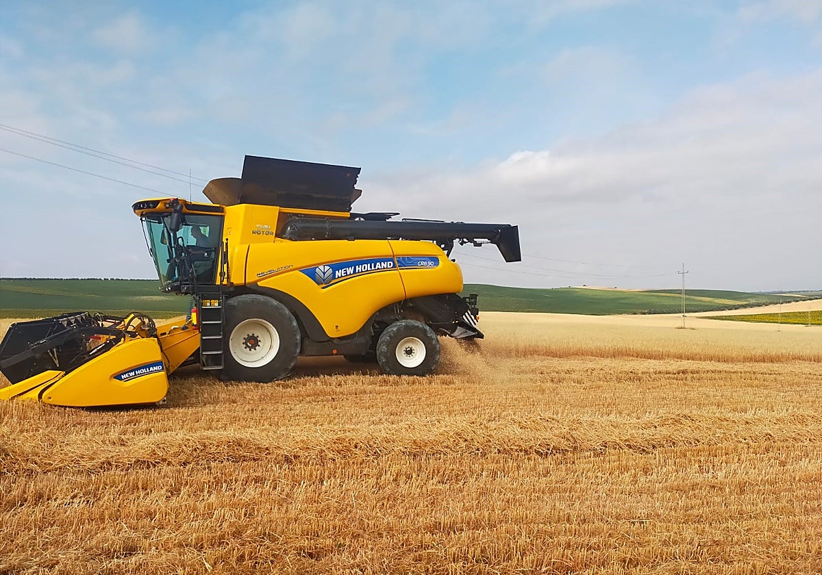 Una máquina cosechadora en un campo de cereales