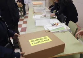 El presidente de una mesa electoral de Málaga trata de zafarse del 28M porque se acababa de morir su perro