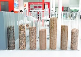 Biomasa: un sector que pide leña y recupera ritmo