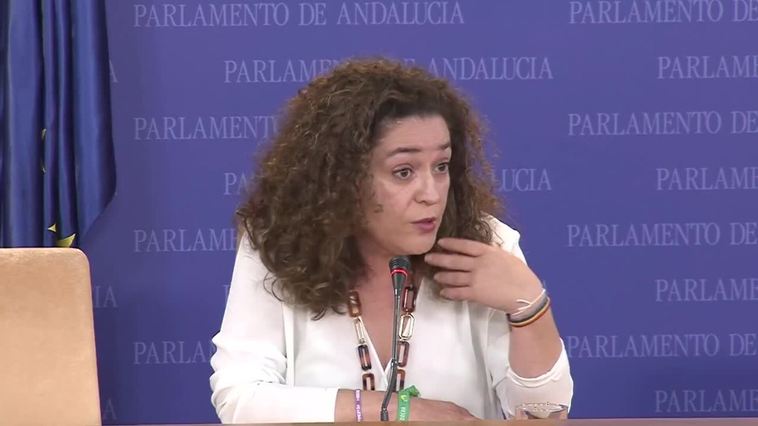 Por Andalucía urge al PP a "retirar hoy mismo" la ley de regadíos junto a Doñana