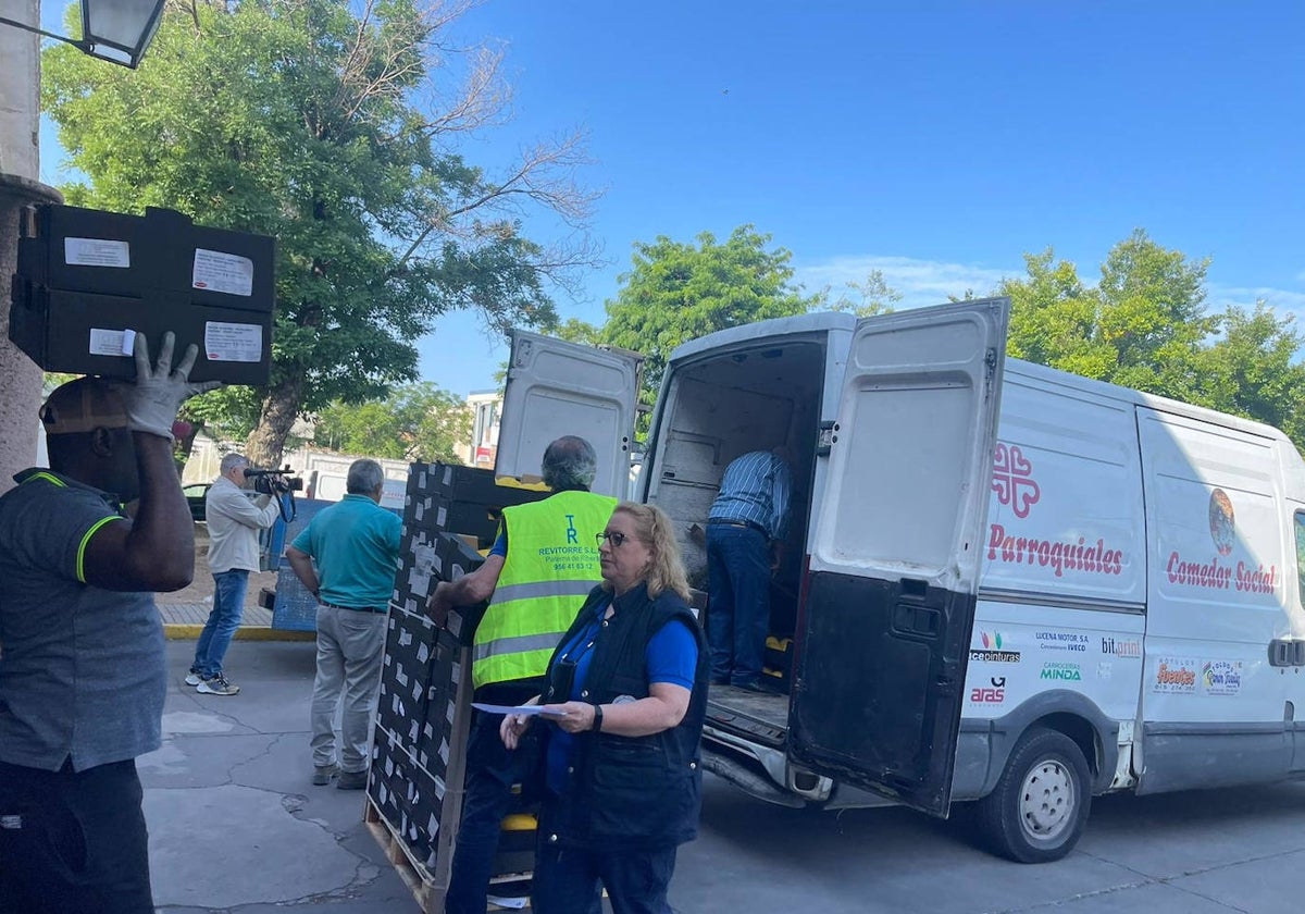 Recogida y reparto de alimentos esta mañana en el Banco de Alimentos de Córdoba