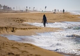 La ministra Ribera encarga cinco proyectos para evitar la regresión de las playas metropolitanas