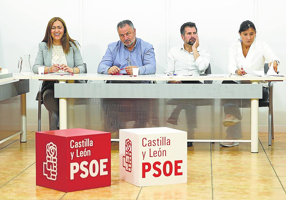 El secretario general del PSOE de Castilla y León, Luis Tudanca, comparece ante la prensa tras presidir el Plenario de la Comisión Ejecutiva Autonómica del PSOE de Castilla y León