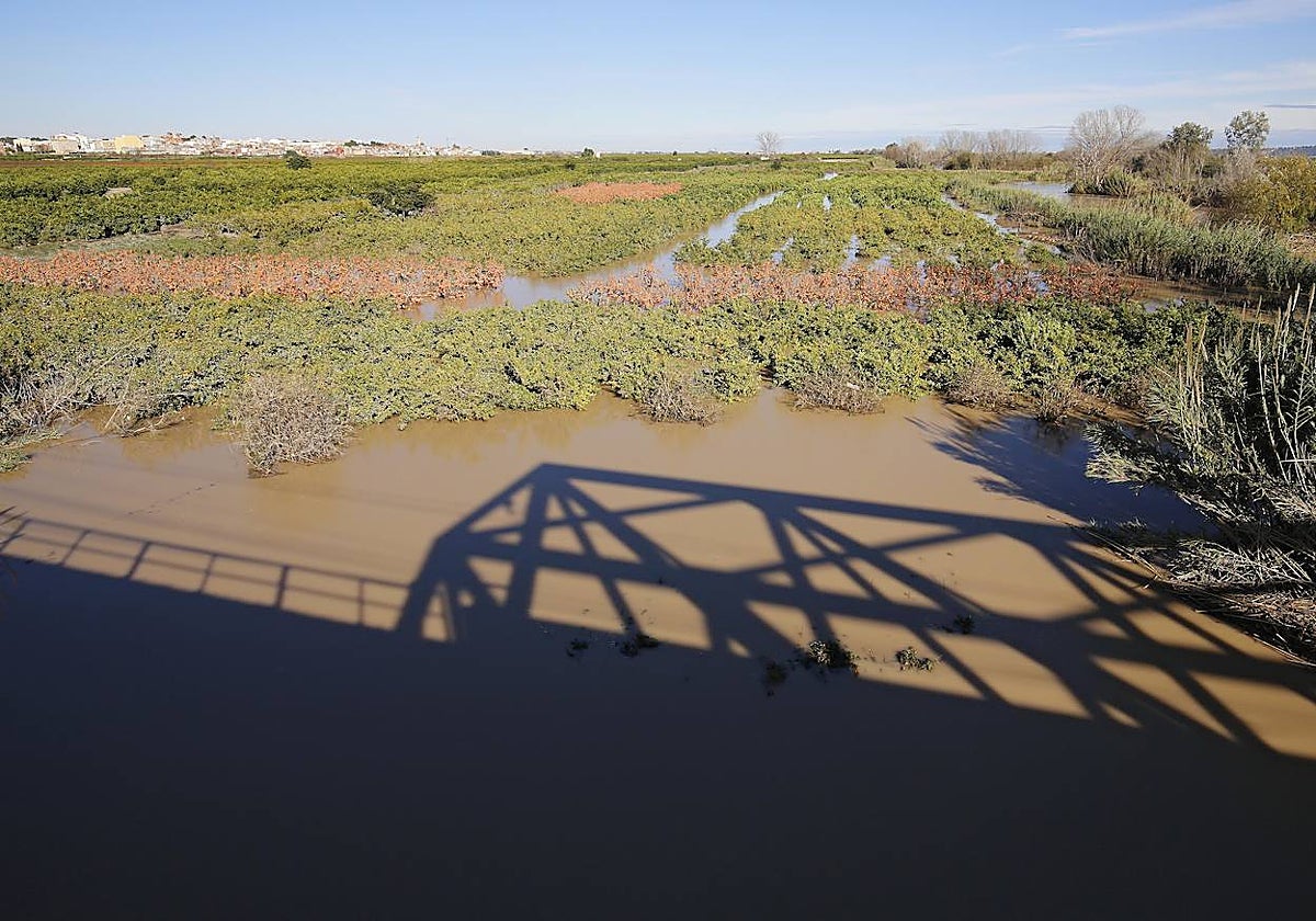 Tierra de cultivo tras haber llovido