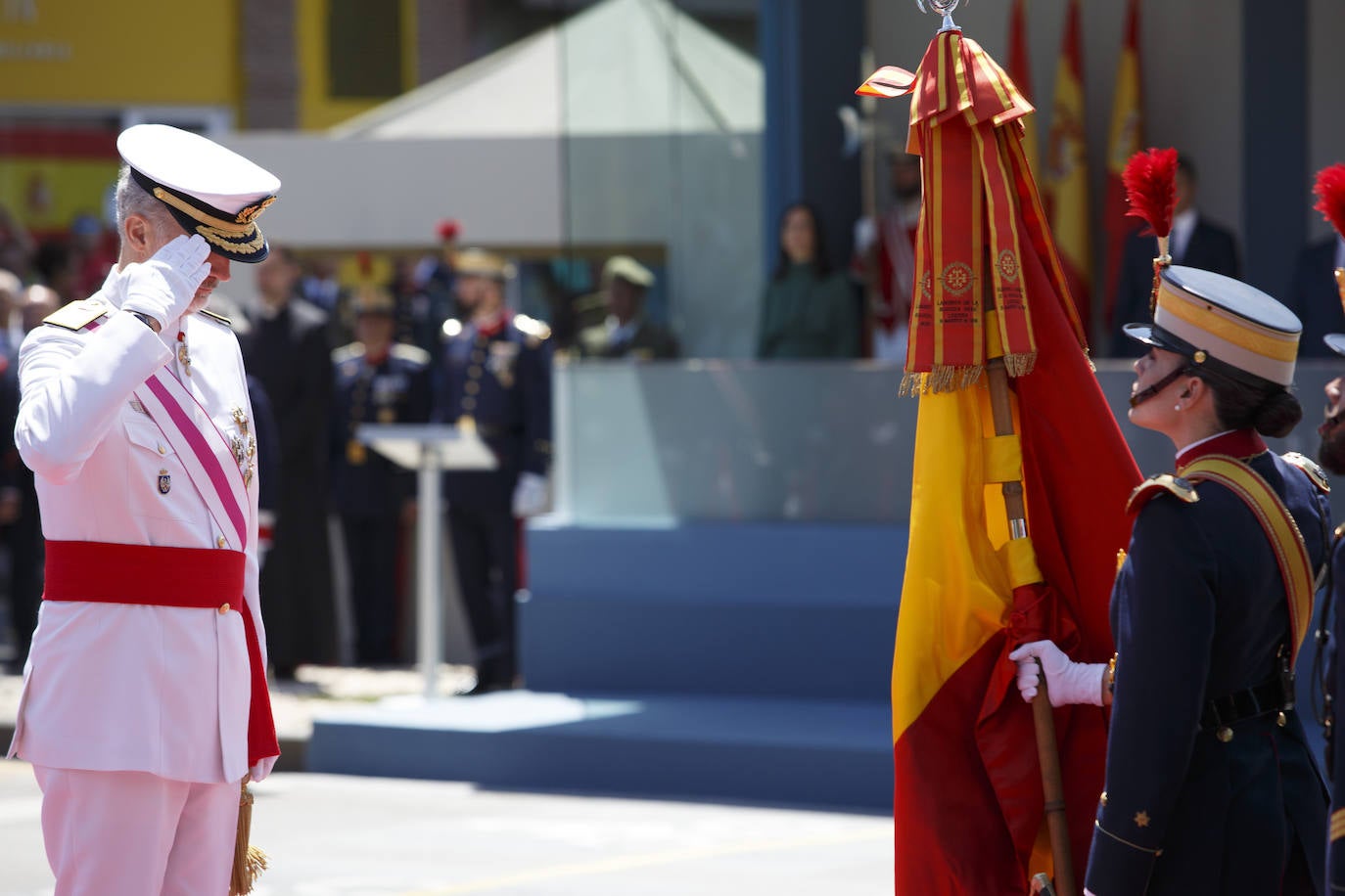 El Rey Felipe VI frente a la bandera de España