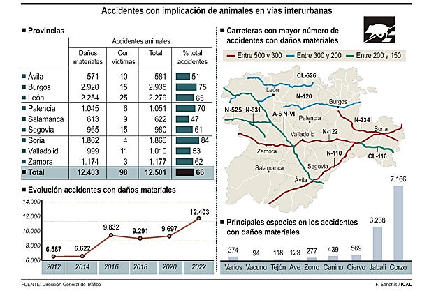 Accidentes de tráfico con animales implicados en las carreteras de Castilla y León