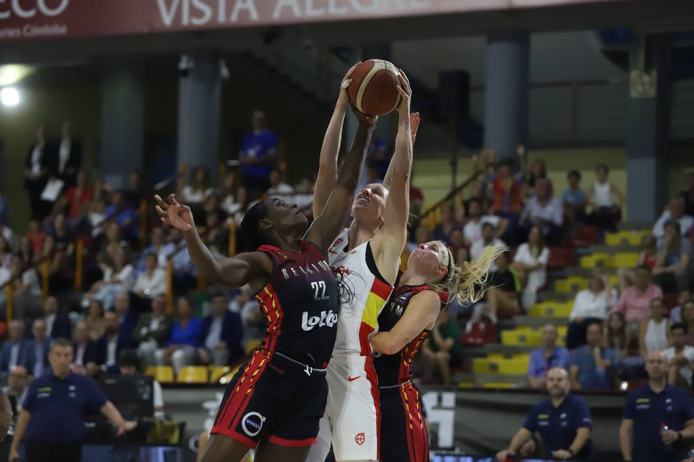 El España - Bélgica disputado este domingo en Córdoba, en imágenes