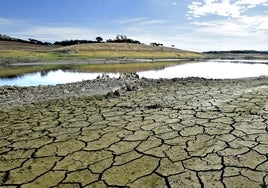 Sequía en Andalucía: la Junta espera que llueva para evitar en otoño los cortes de agua en las casas