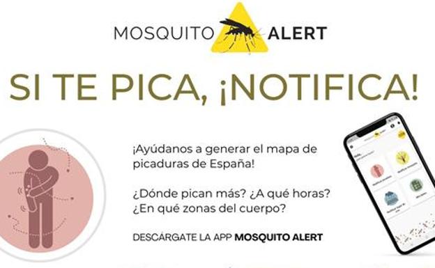 Cómo funciona la aplicación Mosquito Alert: el mapa del mosquito tigre en España