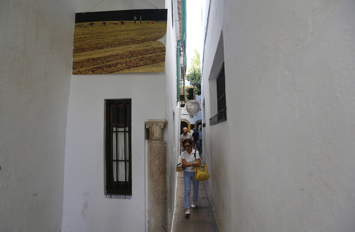 Las callejas históricas de Córdoba, en imágenes
