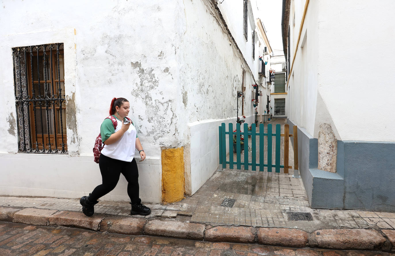 Las callejas históricas de Córdoba, en imágenes