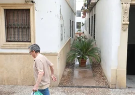 Las callejas históricas de Córdoba, 'cerradas' por los vecinos para protegerlas de la suciedad y el olvido