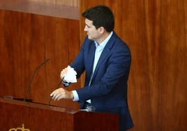 Perpinyà dimite de sus cargos en Más Madrid después de que le comunicaran que no repetirá como senador