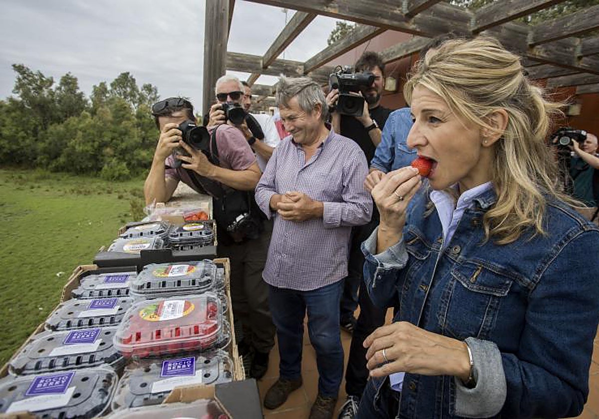 La vicepresidenta segunda del Gobierno y ministra de Trabajo y Economía Social, Yolanda Díaz, comiendo una fresa durante su visita a Doñana