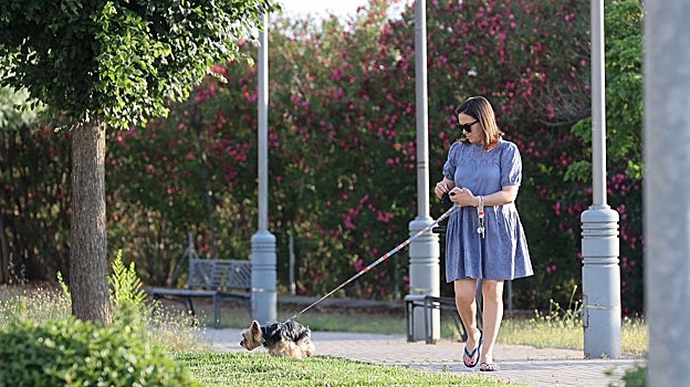 Una mujer pasea con su perro por los jardines de Escritora Elena Quiroga