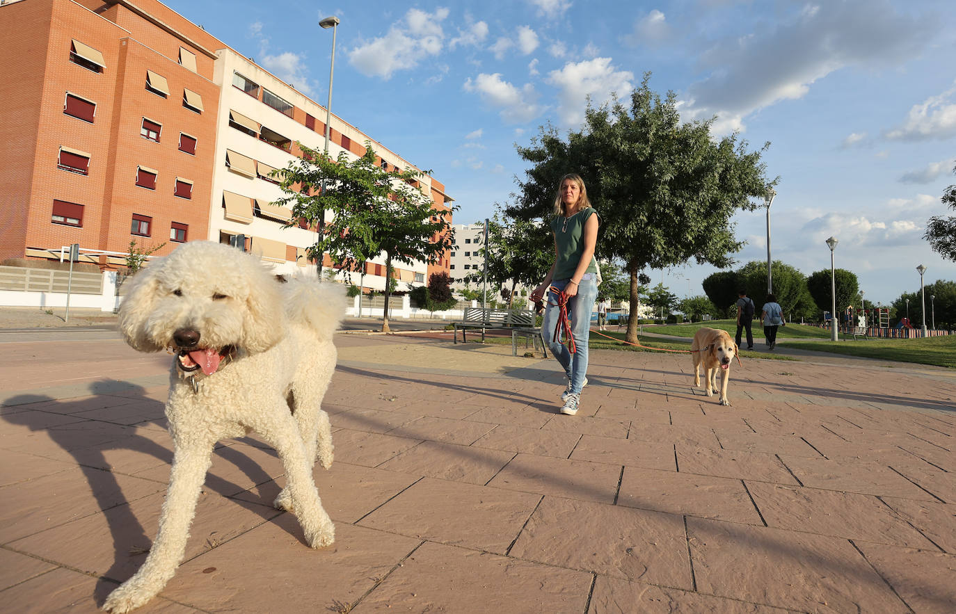 El barrio de Nuevo Poniente en Córdoba, en imágenes