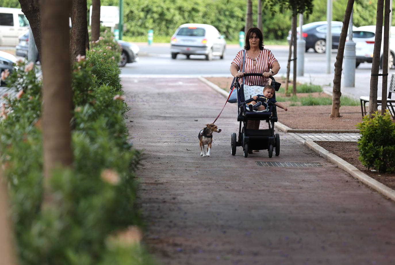 El barrio de Nuevo Poniente en Córdoba, en imágenes