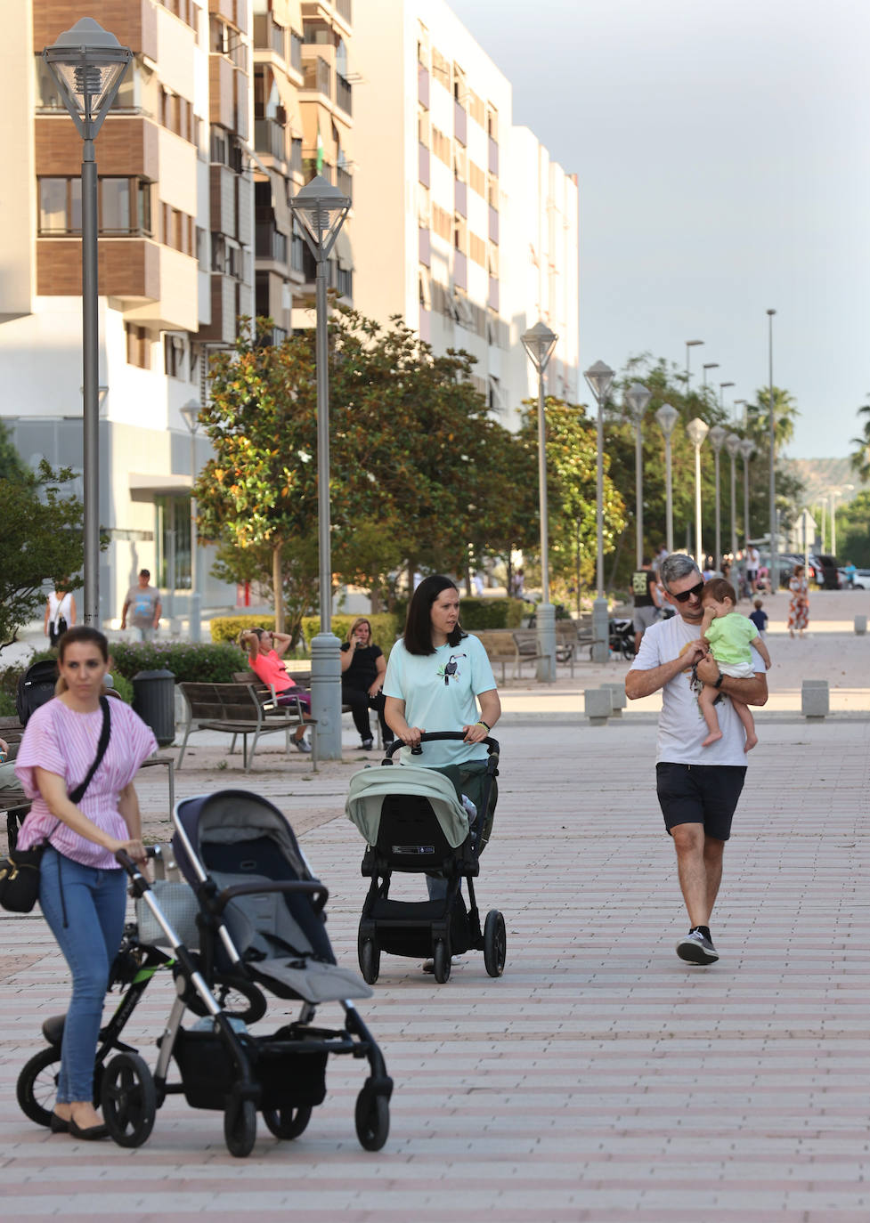 El barrio de Nuevo Poniente en Córdoba, en imágenes