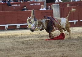 Roca Rey, soberana paliza en Toledo