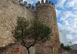 Un paseo permitirá contemplar la muralla medieval de la Villa de Cabra