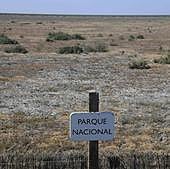 DOÑANA, UN PARAÍSO ASEDIADO TRAS 20 AÑOS DE INACCIÓN DEL PSOE