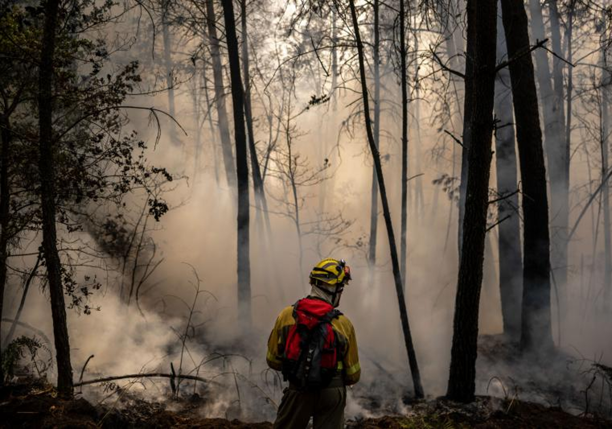 Un bombero trabaja en un incendio en O Irixo (Orense) en 2022