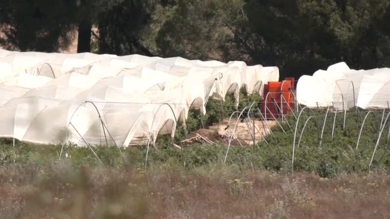 Después de 11 semanas consecutivas, por fin aumenta el nivel de agua de los pantanos