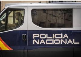 Detenida una mujer por proferir insultos homófobos, escupir y agredir a un viandante en Palma de Mallorca