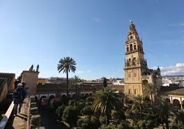 Google incluye a la Mezquita-Catedral de Córdoba en sus nuevas vistas inmersivas con IA