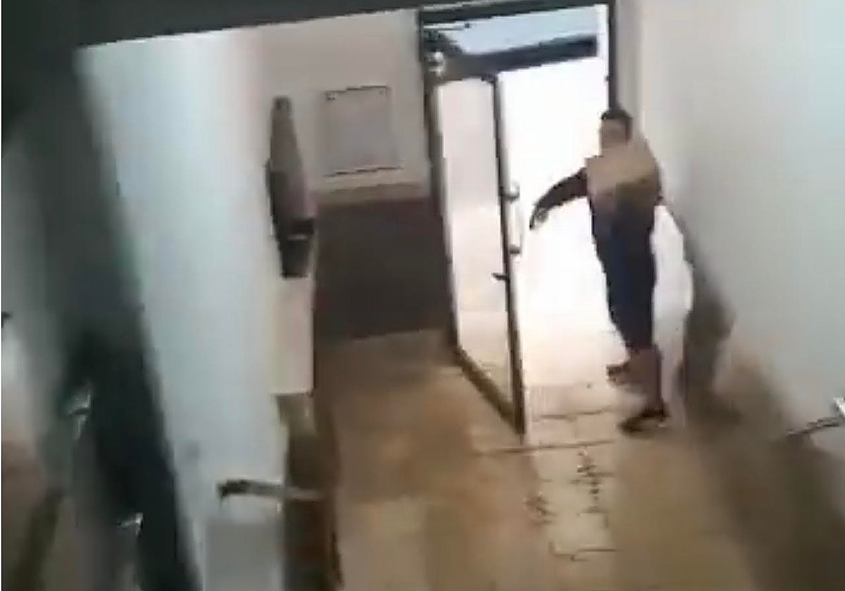 Vídeo difundido con la presunta discriminación lingüística de un repartidor a una usuaria en Valencia