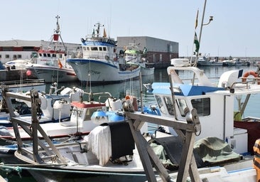 Apuñalan a un hombre en el puerto de Marbella después de intentar robar un barco y huyen nadando