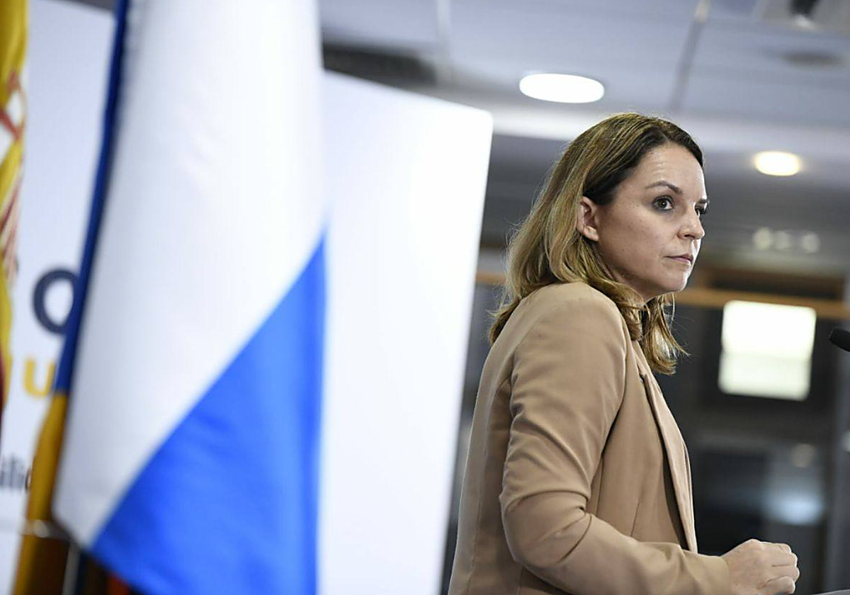 La consejera de Derechos Sociales, área que adjudicó los fondos, Noemi Santana