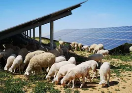 Iberdrola obtiene la autorización administrativa de tres plantas fotovoltaicas en la Comunidad Valenciana