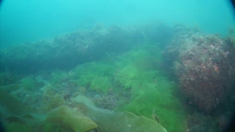 Investigaciones arqueológicas confirman la existencia de un pecio inédito con trece cañones en aguas de Castropol