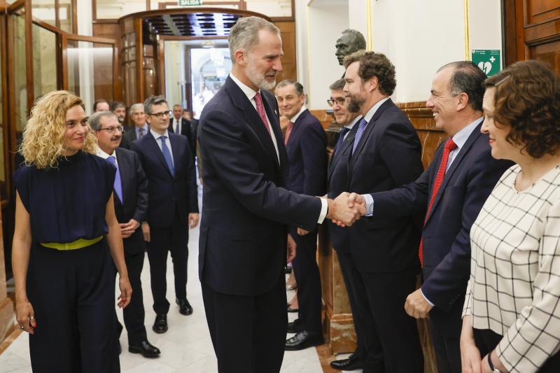 El rey Felipe VI saluda a los diputados a su llegada a la entrega de la Medalla del Congreso