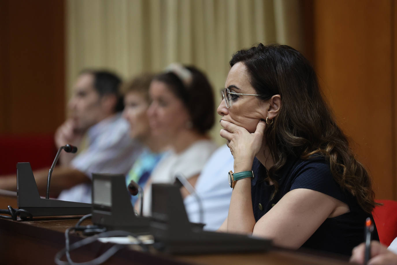 El primer Pleno del Ayuntamiento de Córdoba, en imágenes