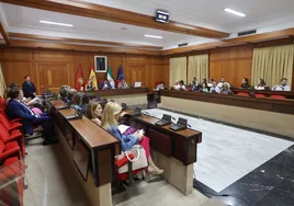 Dedicación exclusiva para 19 de los 29 concejales del Ayuntamiento de Córdoba