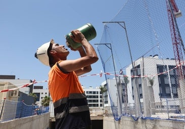 Fotos: El duro trabajo en Córdoba con calor extremo