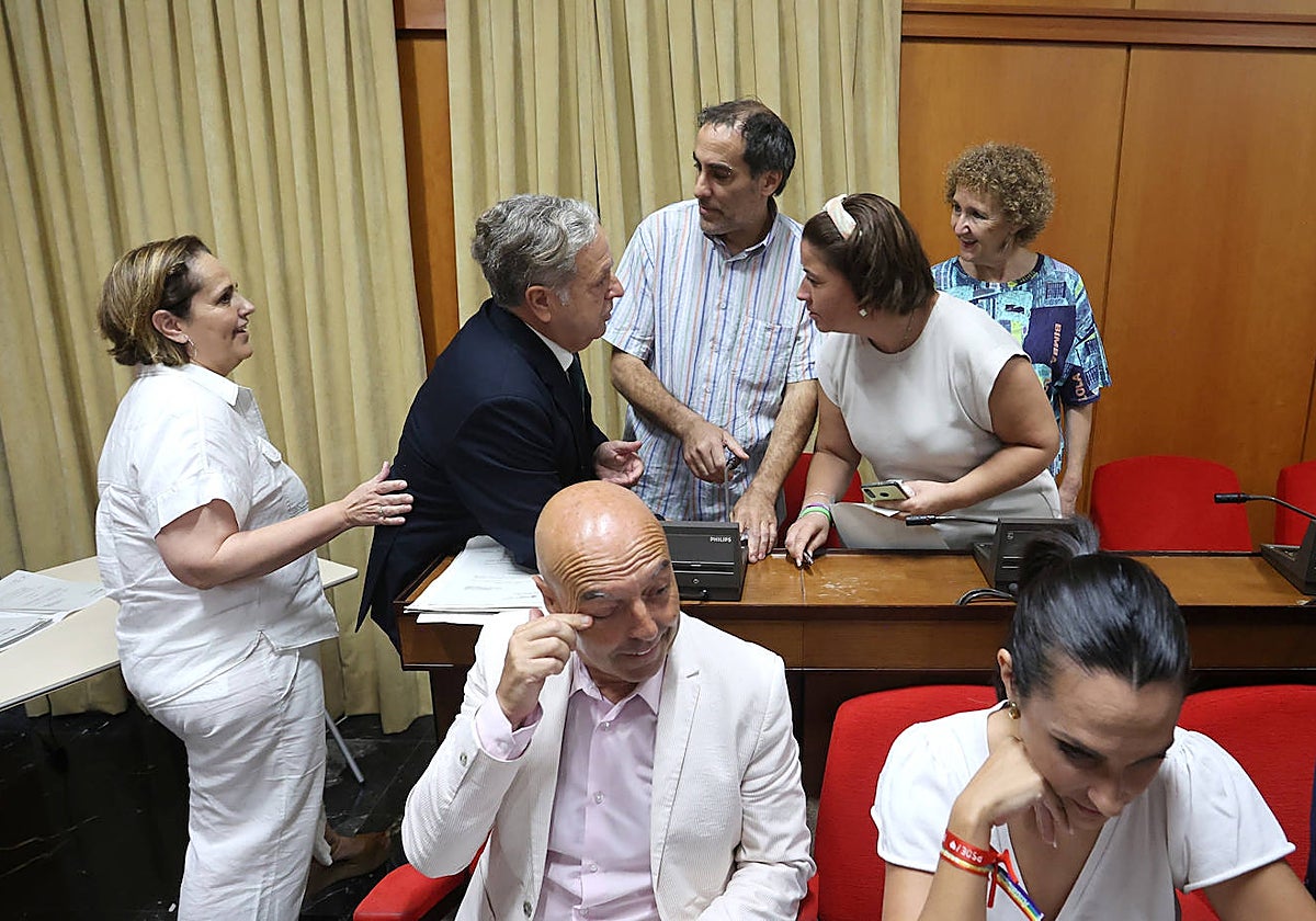 El primer Pleno del Ayuntamiento de Córdoba, en imágenes