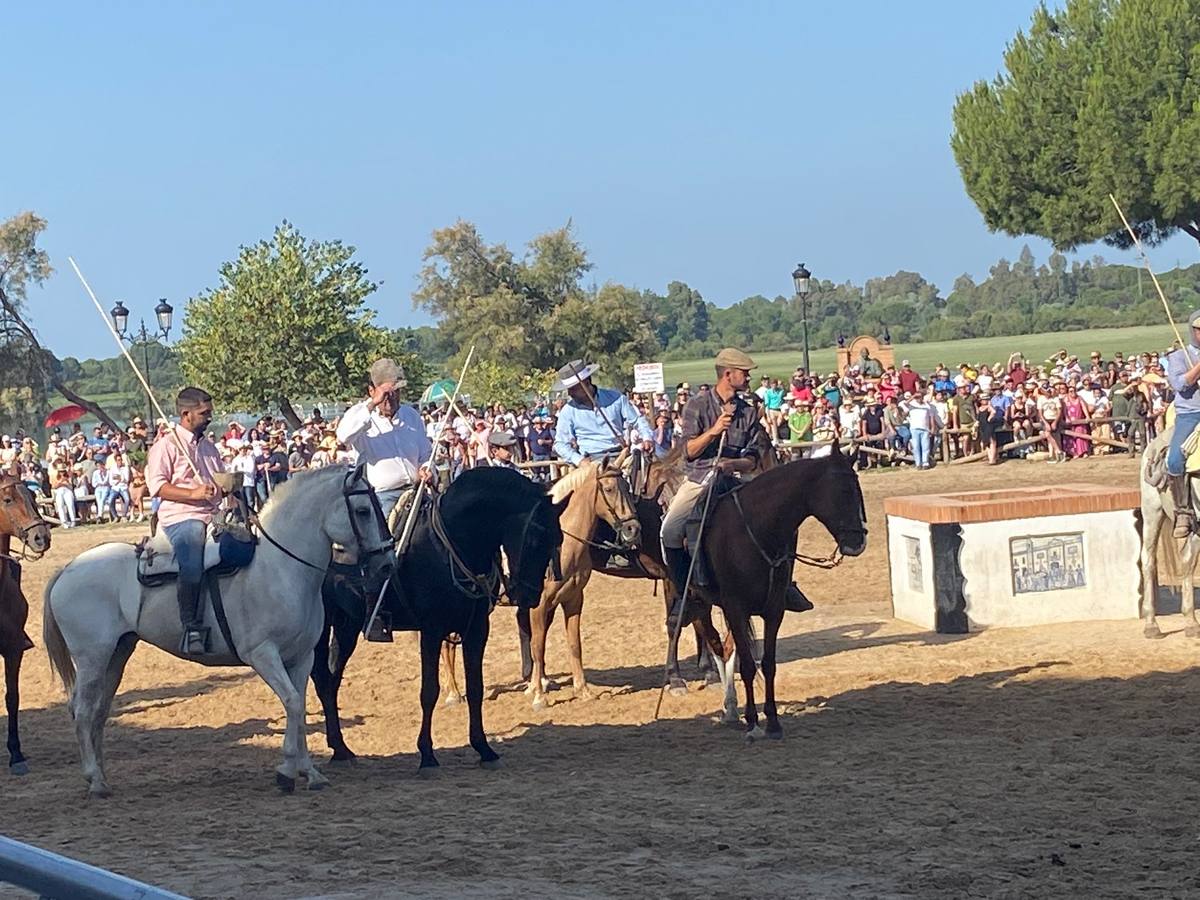 Como cada 26 de junio, Almonte ha celebrado su tradicional 'Saca de las Yeguas'