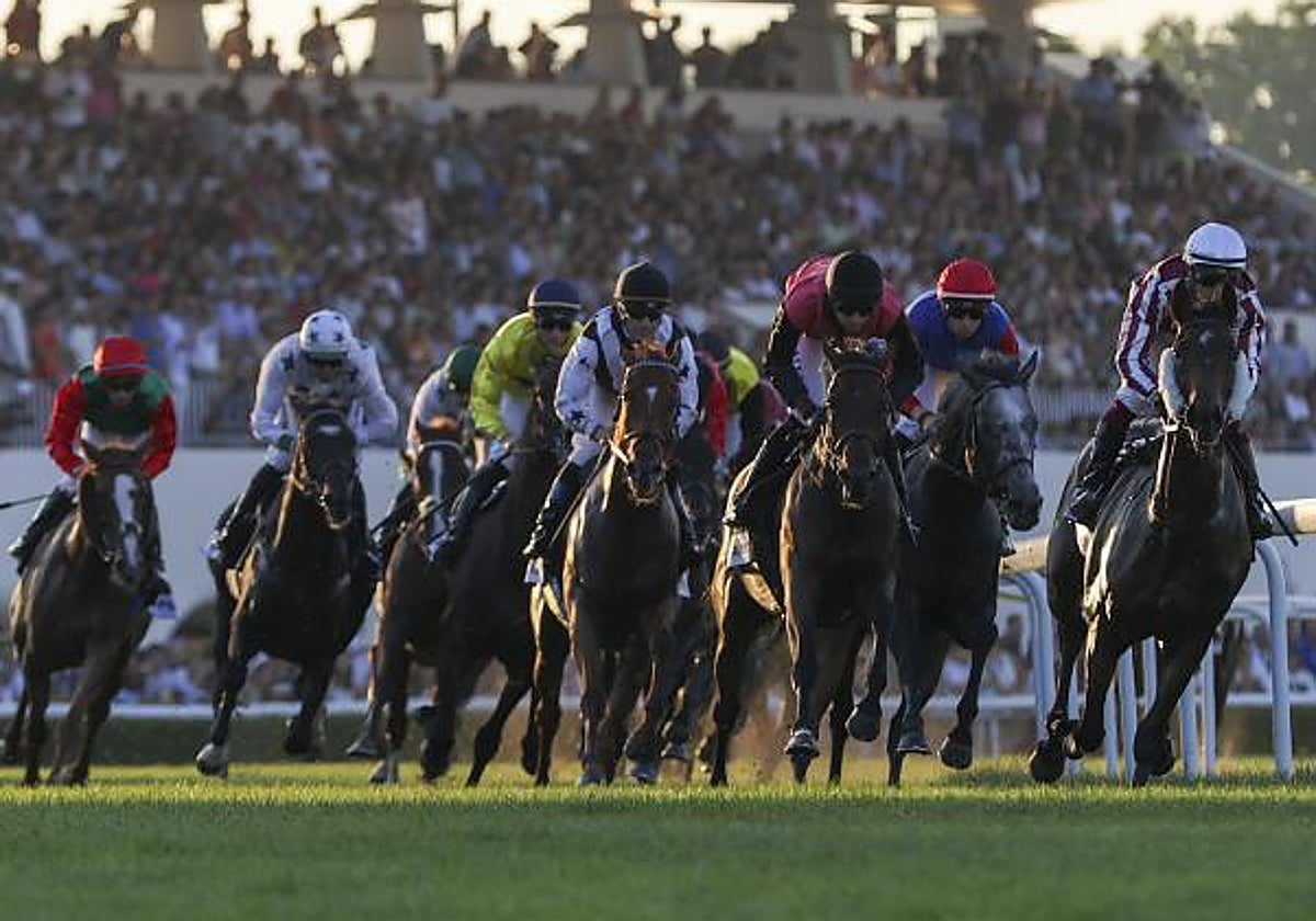 Carrera del Gran Premio de Madrid que se celebra hoy sábado en el Hipódromo de la Zarzuela
