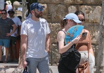 Consejos para controlar un golpe de calor durante episodios de temperaturas extremas