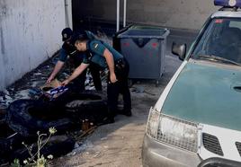 La Guardia Civil de Baena rescata a una camada de 7 cachorros de mastín en la basura