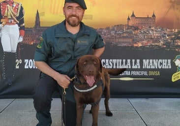 Se jubila Turko, el perro de la Guardia Civil que encontró 640.000 euros