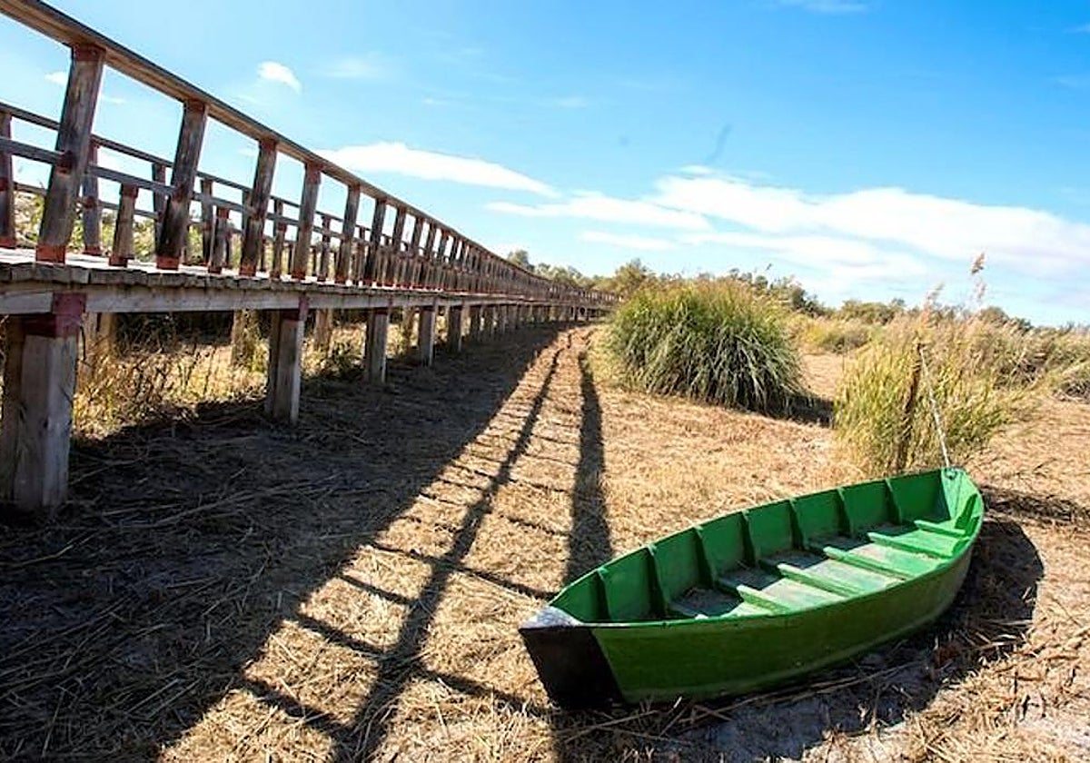 Imagen de archivo del Parque Nacional de las Tablas de Daimiel durante un periodo de sequía